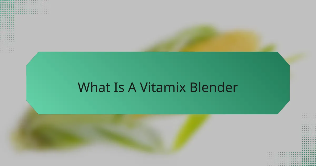 What Is A Vitamix Blender